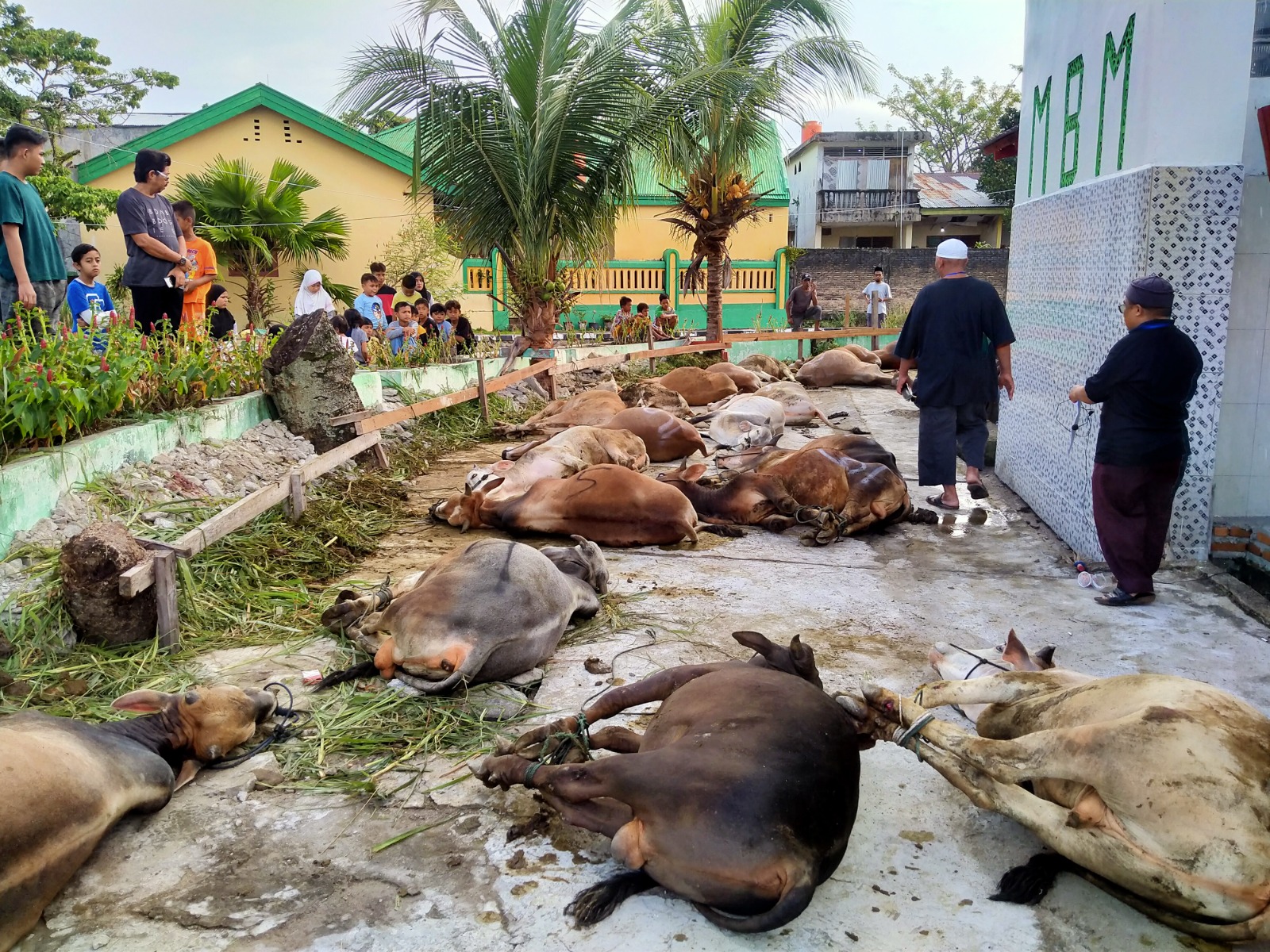 Pengumuman Pendaftaran Peserta Kurban