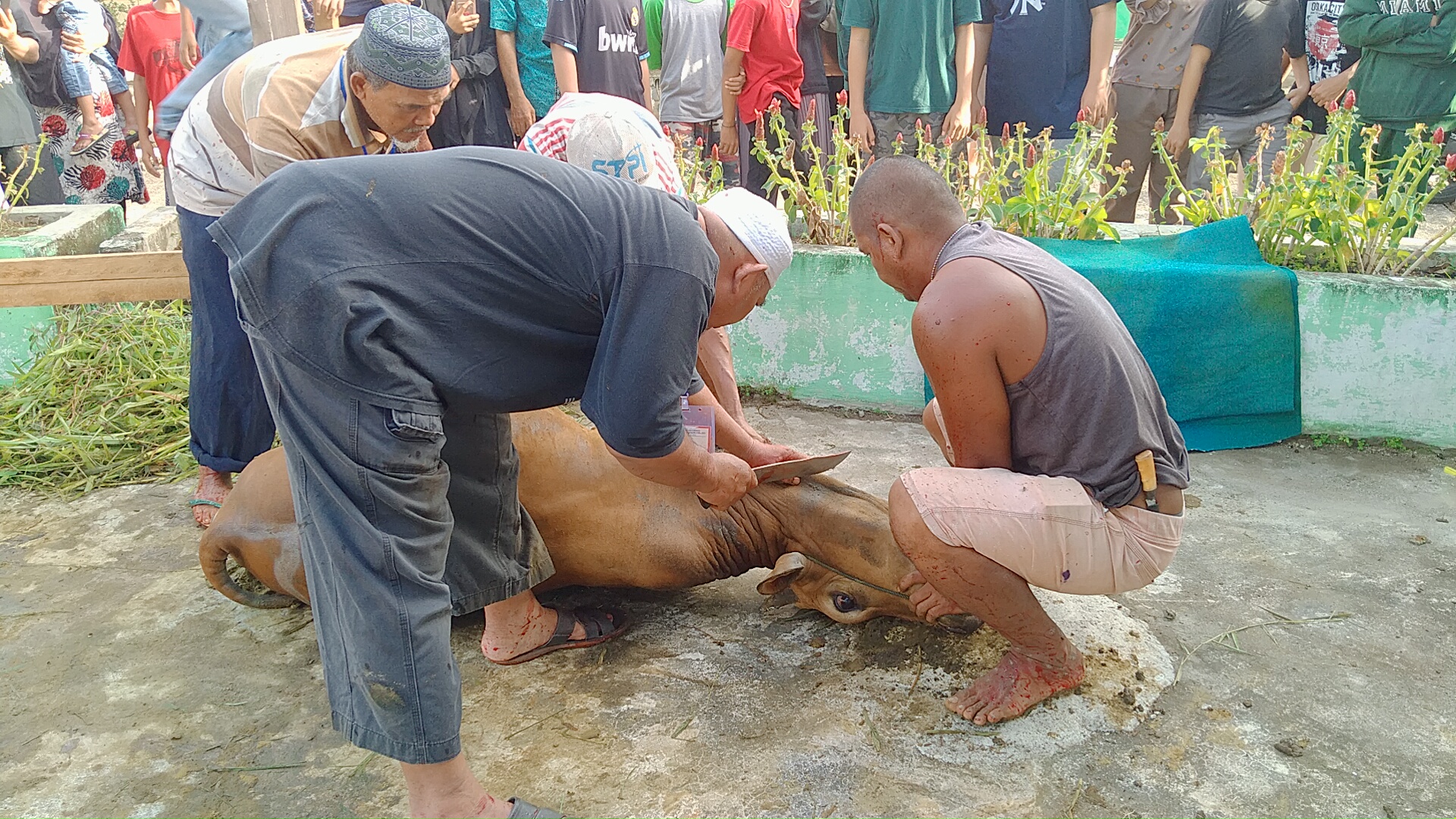 Hari Raya Idul Adha 2022